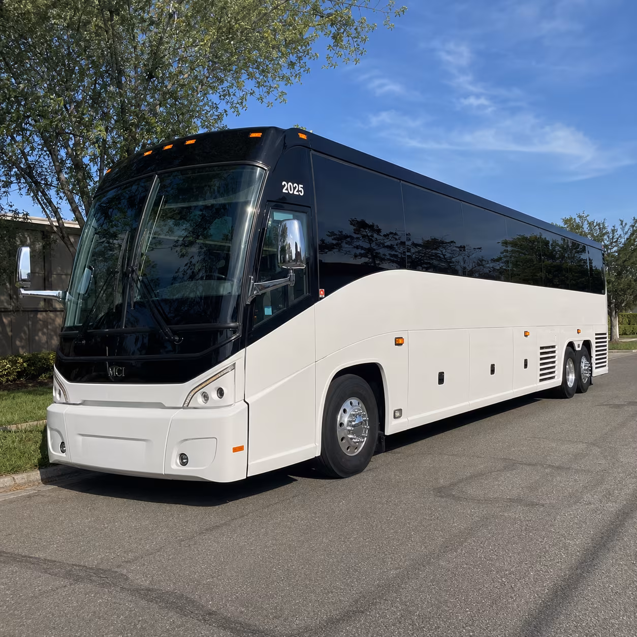group transportation for st rocco s feast and community religious events